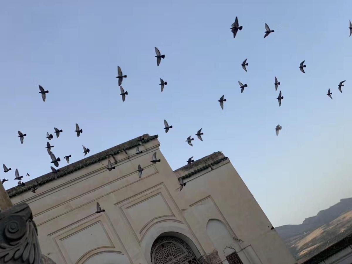 شقة In A Xviiie Palace